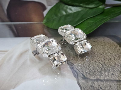 Серьги 1036009400229